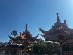 -金砂公园