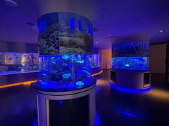 -上和臻品中国菜(花园街店)