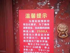 -桃花堤公园