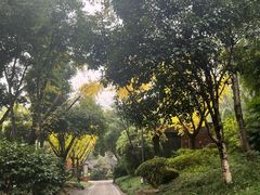 -融汇温泉