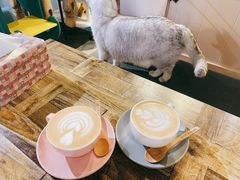 -小时光咖啡馆(开森度假森林店)
