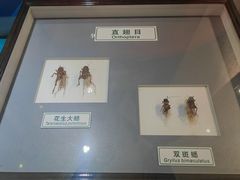 -上海昆虫博物馆
