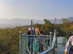 -陶祖圣境风景区