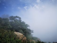 -白草畔自然风景区