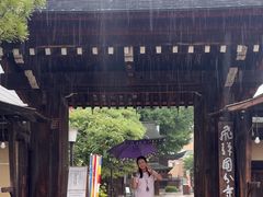 -医王山·飞騨国分寺