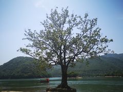 -富春桃源风景区