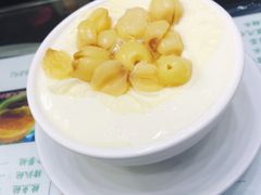 -义顺牛奶公司(新马路老店)