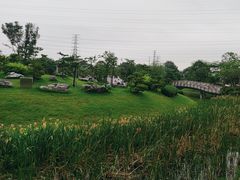 -王借岗森林公园