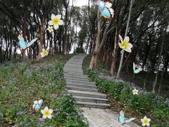 -新洲生态园
