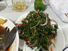 -煲来饱去冷水鱼