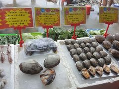 -蚝专家(北滘店)