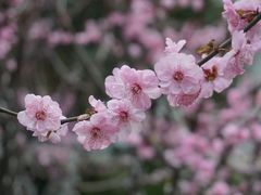 -融园咖啡馆(昙华林店)