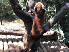 -云南野生动物园