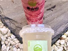 -吴山山·椰子酸奶(天河南店)