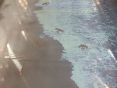 -巴黎春天(浦建店)