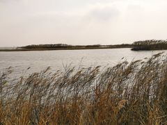 -太湖湖滨国家湿地公园-停车场