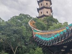 -江心屿景区