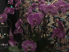 -璞·澐间影院式足道SPA(尚悦湾店)