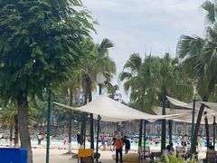 -重庆海昌加勒比海水世界