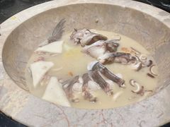 -云海肴云南菜·蒸汽石锅鱼(青岛万象城店)
