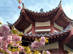 -洛阳市隋唐城遗址植物园