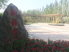 -武清南湖绿博园