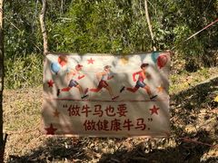 -广州白江湖森林公园