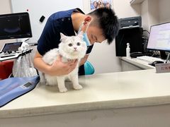 -奈斯宠物医院·核磁CT·异宠专科·内镜(中南店)