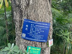 -柳侯公园