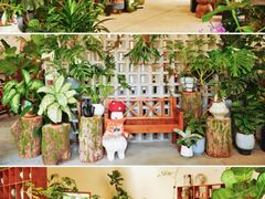 -周大娘牛乳(旧寨古村总店)