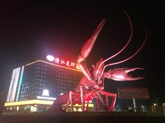 -小李子油焖大虾(天下城旗舰店)