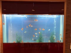 -阳澄湖费尔蒙酒店颐丰阁中餐厅(马鞍山西路店)