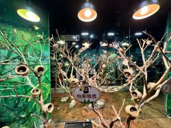 -Zoolung Zoolung动物主题公园(海信广场店)