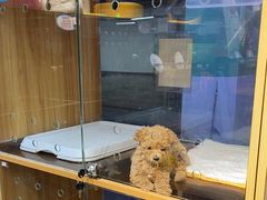 -FAELING PETS美天灵宠物(富力广场店)