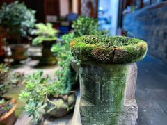 -华冠悠岚·庭院餐厅(青城后山店)