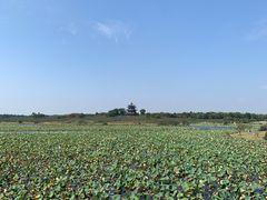 -上海海湾国家森林公园