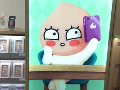 -KAKAO FRIENDS(弘大店)