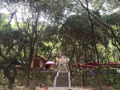 -云洞岩风景区
