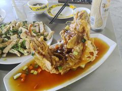 虹鳟鱼-青龙潭鱼庄