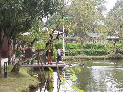 -洪湖家庭农场·团建·露营·会议