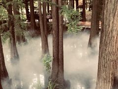 -东湖落雁景区