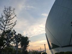 -郑州大剧院