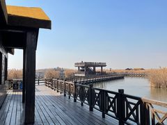 -宁波杭州湾国家湿地公园