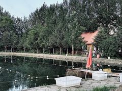 -6号瓦房露营烤场
