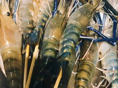 -渔米粥(罗湖店)