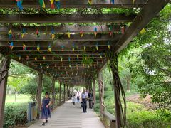 -白马涧龙池景区