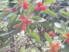 -宝岩生态观光园