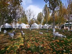 -九十九顶毡房(阜石路店)