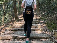 -西湖风景区十里琅珰-五云山
