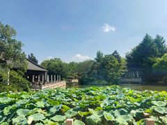 -杭州西子湖四季酒店-WL BISTRO西湖餐厅(灵隐路店)